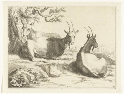 vuohet Abraham Bloemaertin piirustuskirja (sarjan nimi) tekijältä Frederick Bloemaert