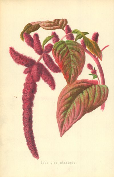 Rakkaus-valheet-verenvuoto tekijältä Frederick Edward Hulme