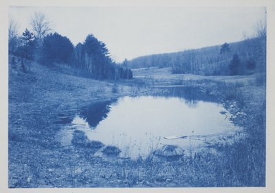 Nimetön, 1800-luvun loppu – 1900-luvun alku (syanotypia kermanvärisellä paperilla) tekijältä Frederick K. Coulson