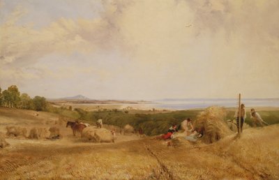 Sadonkorjuupelto, 1846 tekijältä Frederick Richard Lee