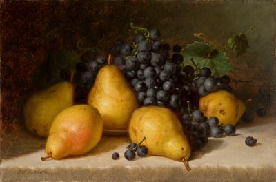 Viinirypäleitä ja päärynöitä 1877 (Öljy paneelille) tekijältä Frederick S. Batcheller