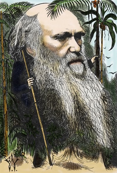 Charles DARWIN (1809-1882) karikatyyri F. Waddysta elokuvassa Once A Week vuodelta 1873. tekijältä Frederick Waddy