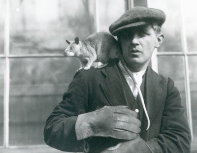 Madagaskarin jättiläisrotta istuu pitäjän, Lontoon eläintarhan, olkapäällä tekijältä Frederick William Bond