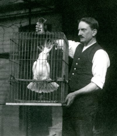 Vartija pitää rikkiharjakakadua, Jadea häkissään Lontoon eläintarhassa lokakuussa 1924 tekijältä Frederick William Bond