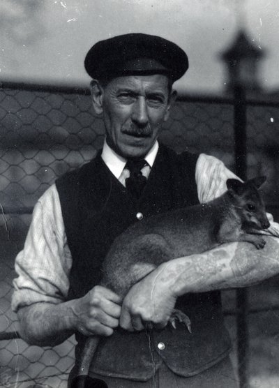 Vartija pitää hallabyä, lokakuu 1920 (m/v kuva) tekijältä Frederick William Bond