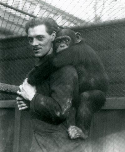 Mies kantaa simpanssi Sallya selässään Lontoon eläintarhassa, 1924 tekijältä Frederick William Bond