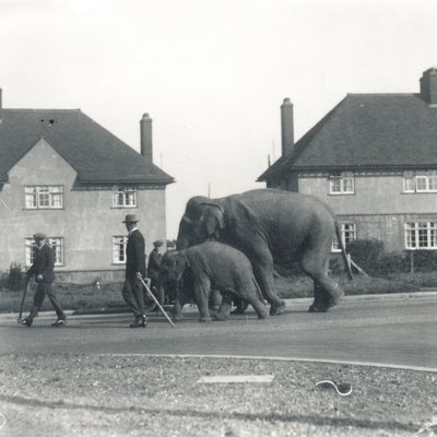 Intiaaninorsupari kävelemässä Tilburystä ZSL Whipsnadeen tekijältä Frederick William Bond