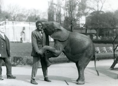 Nuori afrikkalainen kääpiöelefantti seisoo takajaloillaan ja halaa afrikkalaista kouluttajaansa, kun eläintenhoitaja katsoo vierestä, Lontoon eläintarha, heinäkuu 1925. tekijältä Frederick William Bond