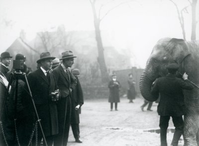 Intiaanielefantti, mahdollisesti Sundermalah, osallistumassa ulkoiseen lähetykseen Lontoon eläintarhasta, 1925 tekijältä Frederick William Bond
