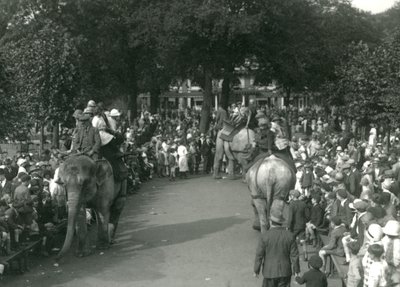 Elephant Rides, jossa kolme aasialaista norsua katselivat katselijajoukot Lontoon eläintarhassa elokuussa 1926 (m/v kuva) tekijältä Frederick William Bond