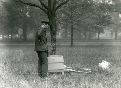 Keeper Brown siirtää mehiläisparveen Lontoon eläintarhassa heinäkuussa 1926 tekijältä Frederick William Bond