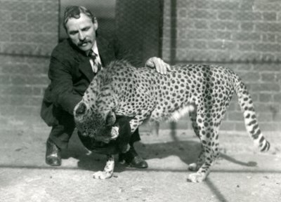 Vartija Charles Dixon leikkisän gepardin kanssa Lontoon eläintarhassa lokakuussa 1922 tekijältä Frederick William Bond