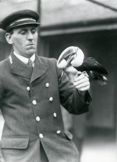 Vartija, Thomas Raggett, pitelee punanokkatukaania muna suussa Lontoon eläintarhassa vuonna 1924 tekijältä Frederick William Bond