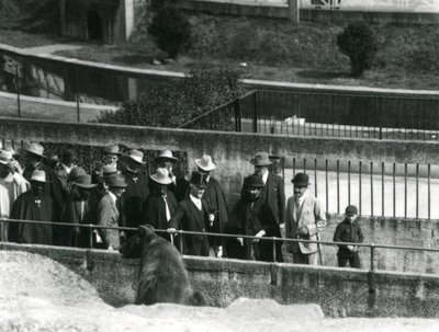 Sir Peter Chalmers Mitchell etiopialaisen valtionhoitajan Haile Selassien ja hänen seurueensa kanssa katselemassa ruskeakarhua Mappin Terracesilla Lontoon eläintarhassa, 1924 tekijältä Frederick William Bond