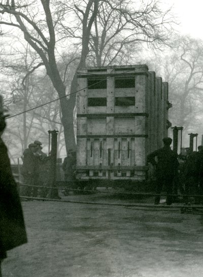Naaras Aasiannorsu Lukhi kuljettamassa puulaatikossa Lontoon eläintarhassa, 1923 tekijältä Frederick William Bond