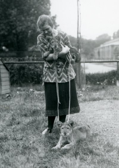 Kaksi leijonanpentua nuoren naisen kanssa Lontoon eläintarhassa elokuussa 1925. tekijältä Frederick William Bond