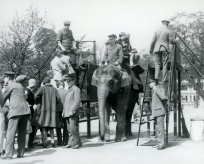 Vierailijat jonottavat norsuratsastukseen, kun muut nousevat kyytiin viiden hoitajan avustuksella, Lontoon eläintarha, 1927. tekijältä Frederick William Bond