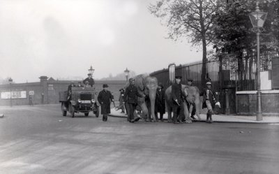 Elefanttiparin kävely telakoilta vuonna 1923 ZSL Lontoon eläintarhaan, viimeinen kerta kun näin tehtiin tekijältä Frederick William Bond