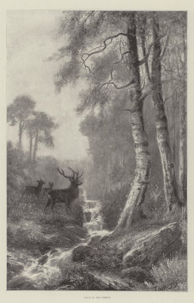 Aamunkoitto metsässä tekijältä Frederick William Hayes