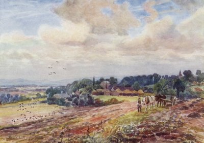 Nälkäinen Grafton tekijältä Frederick William Newton Whitehead