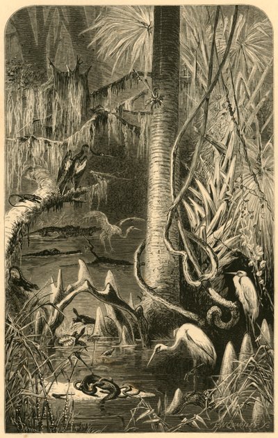 "A Florida Swamp", 1872. tekijältä Frederick William Quartley
