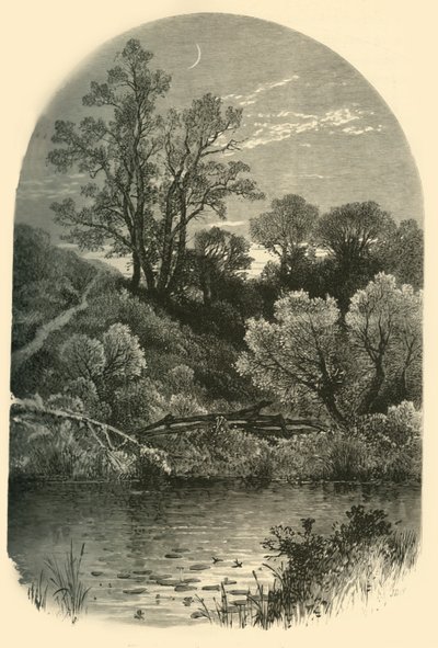 "Banks of the Housatonic, Pittsfield", 1874. tekijältä Frederick William Quartley
