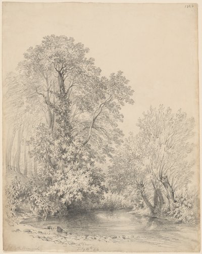Puut joen rannalla Bromwichin linnassa tekijältä Frederick William Watts