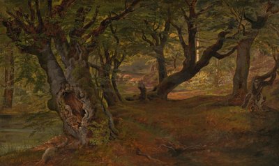 Näkymä Bregentvedin metsään, Sjaellandiin, 1830-luvun puoliväli. tekijältä Frederik Sødring