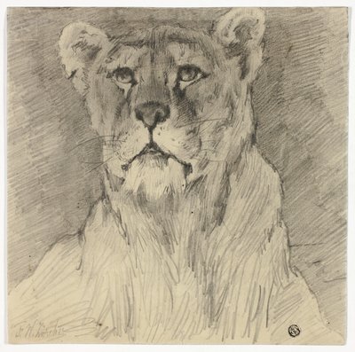 Istuvan leijonattaren etukuva tekijältä Frederik William Zurcher