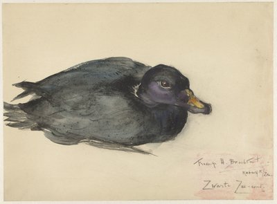 Musta Scoter tekijältä Frederika Henriëtte Broeksmit