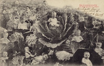Vauvat kaalilapussa (valokuvakollaasi) tekijältä French Photographer