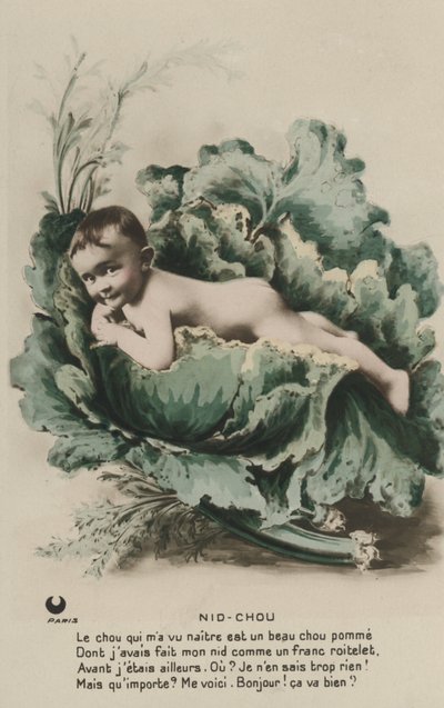 Vauva kaalissa tekijältä French Photographer
