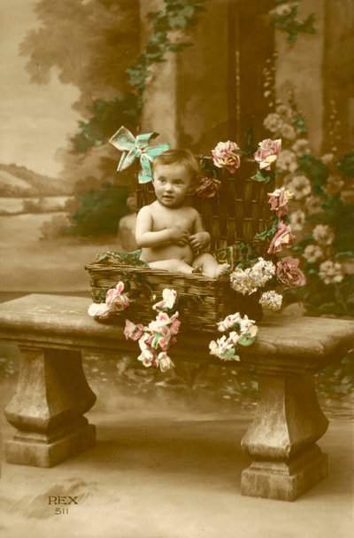 Vauva korissa tekijältä French Photographer