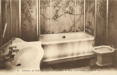 Ylellisen hytin kylpyhuone ranskalaisella valtamerilaivalla Ile de France (b/w kuva) tekijältä French Photographer