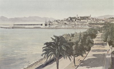 Cannes, satama ja vanhakaupunki, Boulevard de la Croisette tekijältä French Photographer