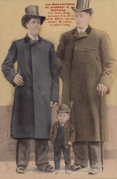 Äärimmäiset korkeudet (värillinen kuva) tekijältä French Photographer