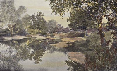 Fontainebleau, Metsä, Mare de Franchard tekijältä French Photographer