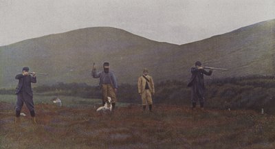 Metsän ammunta Skotlannissa (värikuva) tekijältä French Photographer