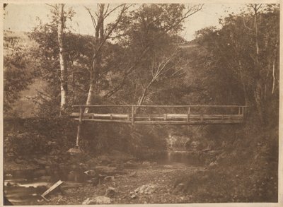 Maisema, jossa on puita ja silta,c. 1850 (kuva) tekijältä French Photographer