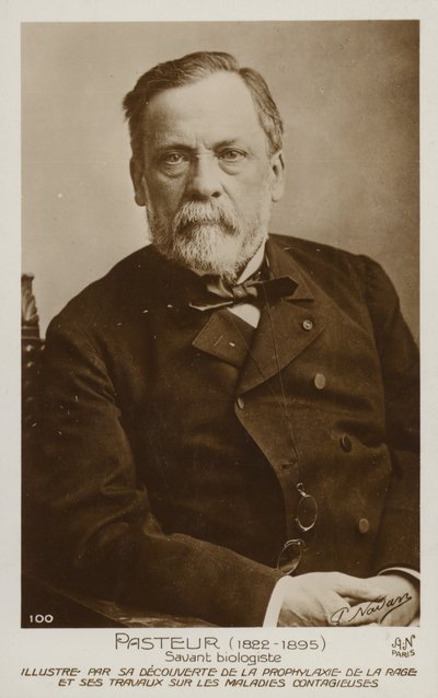 Louis Pasteur (1822-1895), ranskalainen kemisti ja mikrobiologi tekijältä French Photographer