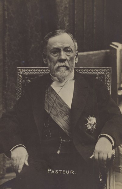 Louis Pasteur (1822-1895), ranskalainen kemisti ja mikrobiologi tekijältä French Photographer