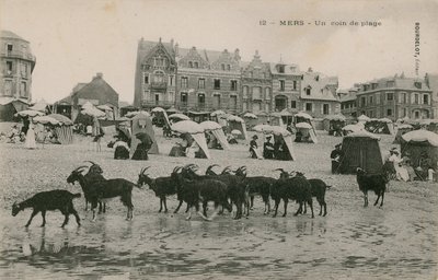 Mers - osa rantaa. Postikortti lähetetty 1913. tekijältä French Photographer