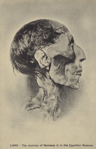 Ramses II:n muumio tekijältä French Photographer