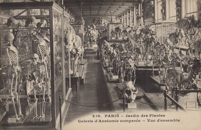 Pariisi, Jardin Des Plantes tekijältä French Photographer