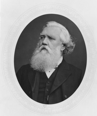 Muotokuva Henry Layardista, noin 1880 tekijältä French Photographer