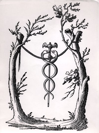 Caduceuksessa tekijältä French School