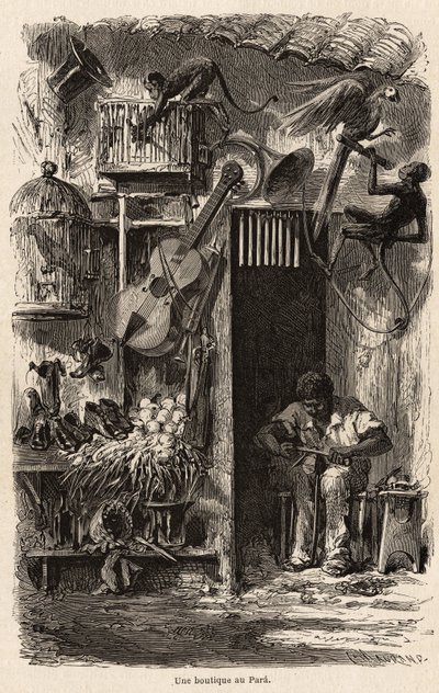 Kauppa Parassa, kuvitus Mr.Biardin matkalle Brasiliaan vuosina 1858-1859. Kaiverrus ”” Le tour du monde”” 1861. Selvan kokoelma. tekijältä French School
