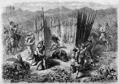 Tiikerinmetsästys Jaavan saarella vuonna 1862. Kaiverrus "" Le Monde Illustré" -julkaisussa nro 251, 1. helmikuuta 1862. tekijältä French School