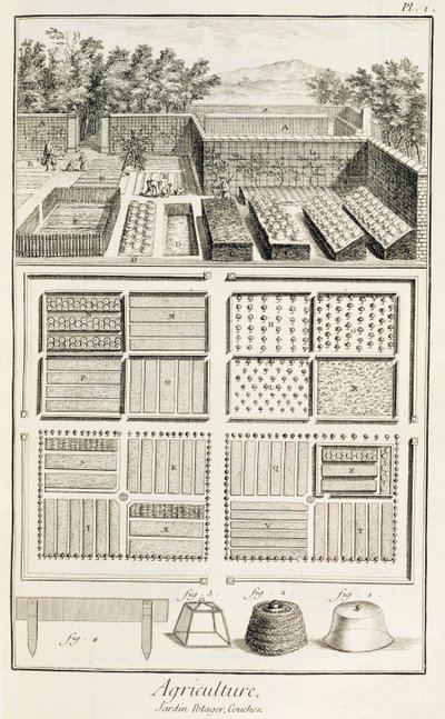 Vihannespuutarha, Denis Diderot