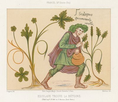 Aesculapius löytää betonia tekijältä French School